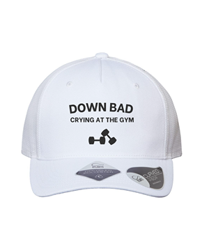 Down Bad (Crying at the Gym) Hat